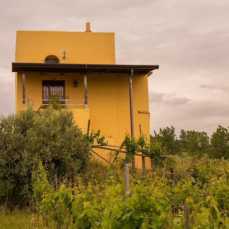 Vesuvio Inn Guest House E Wine Experience Boscotrecase Exteriér fotografie