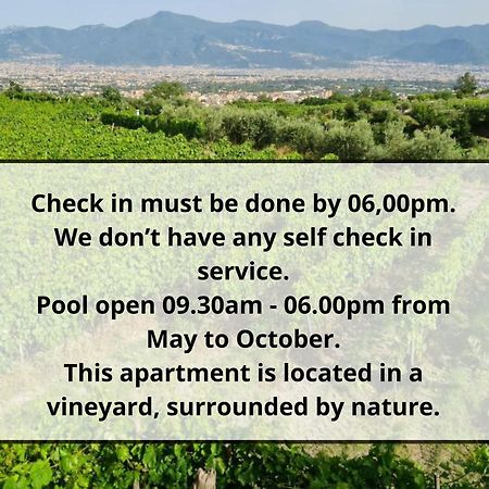 Vesuvio Inn Guest House E Wine Experience Boscotrecase Exteriér fotografie