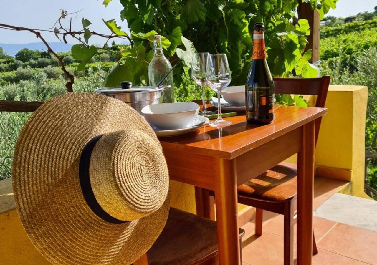 Vesuvio Inn Guest House E Wine Experience Boscotrecase Exteriér fotografie