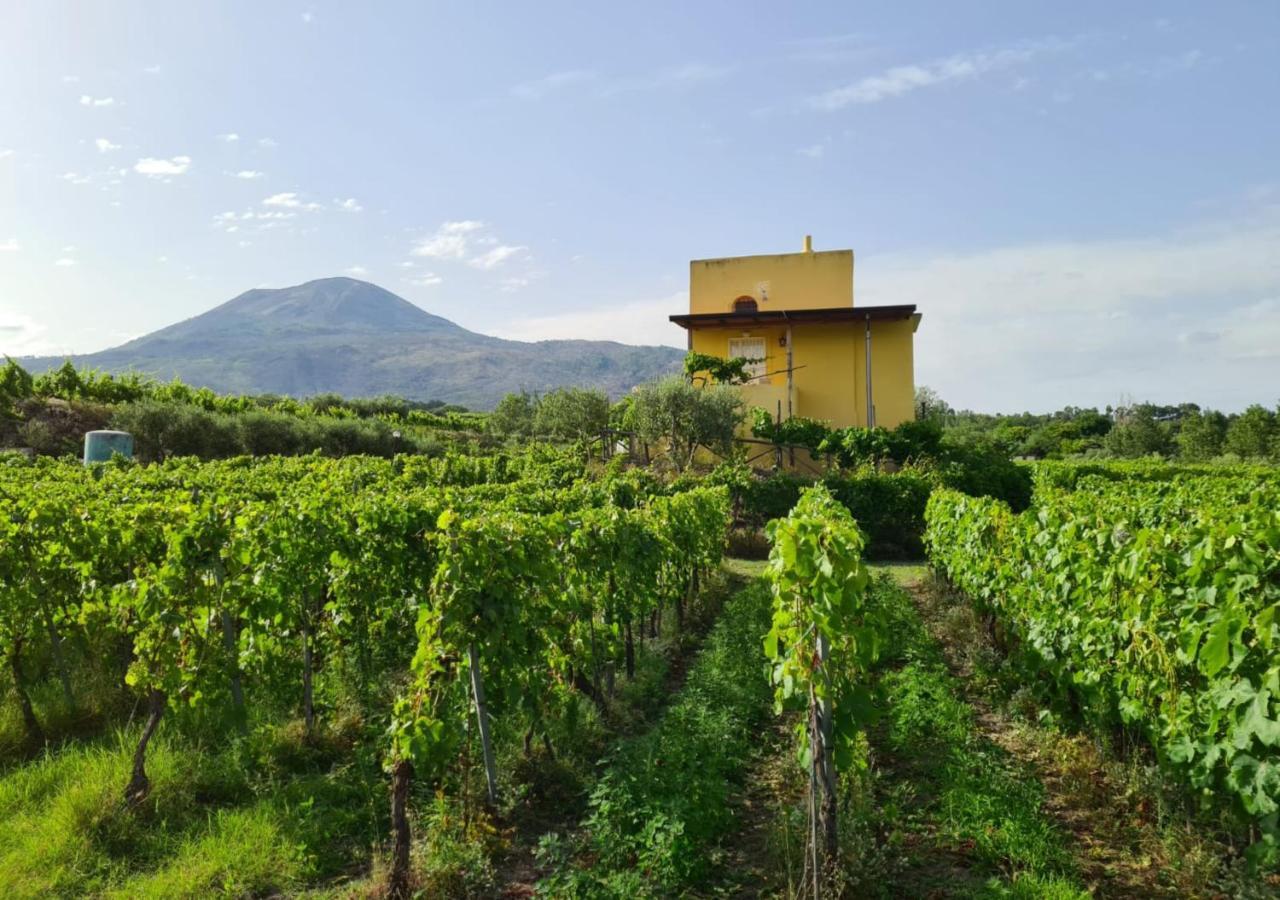 Vesuvio Inn Guest House E Wine Experience Boscotrecase Exteriér fotografie