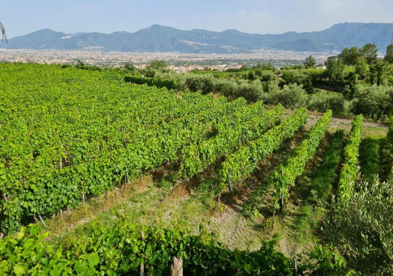 Vesuvio Inn Guest House E Wine Experience Boscotrecase Exteriér fotografie