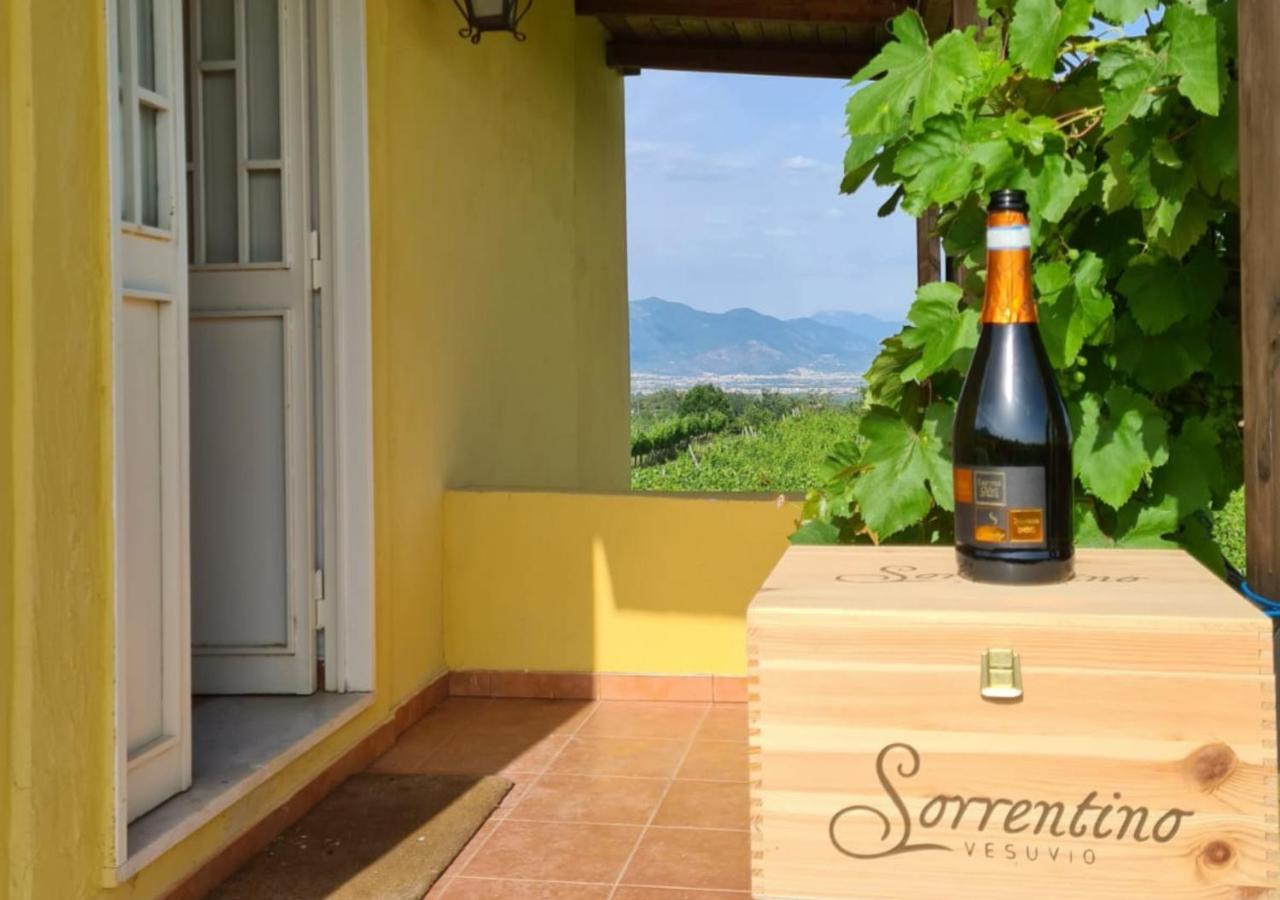 Vesuvio Inn Guest House E Wine Experience Boscotrecase Exteriér fotografie