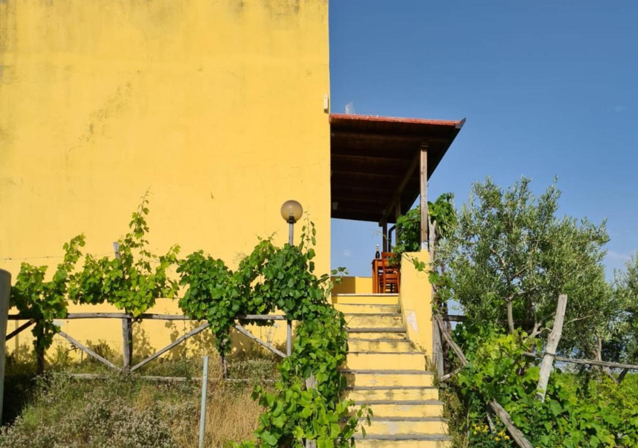 Vesuvio Inn Guest House E Wine Experience Boscotrecase Exteriér fotografie