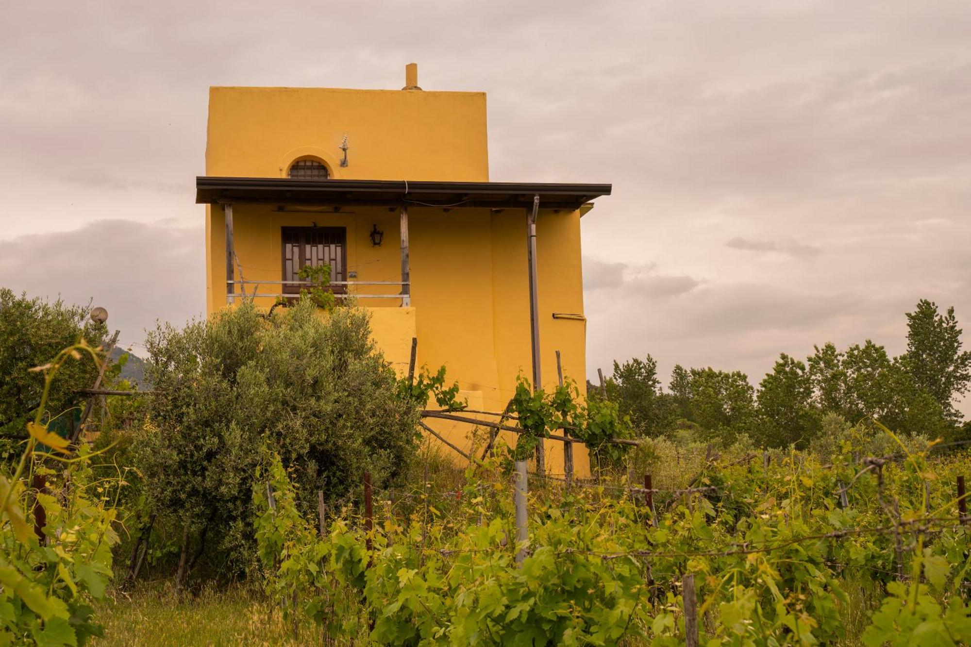 Vesuvio Inn Guest House E Wine Experience Boscotrecase Exteriér fotografie