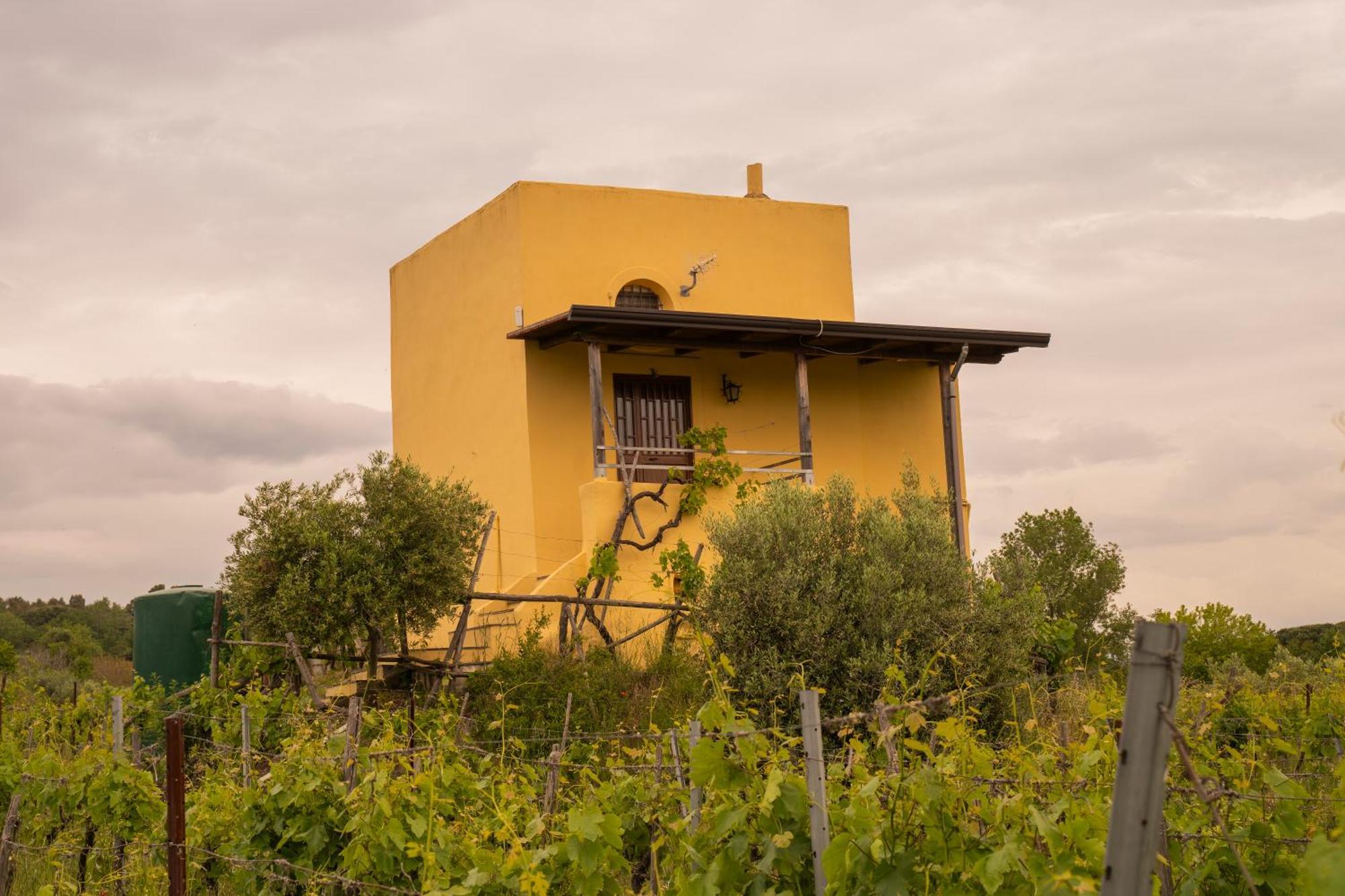 Vesuvio Inn Guest House E Wine Experience Boscotrecase Exteriér fotografie