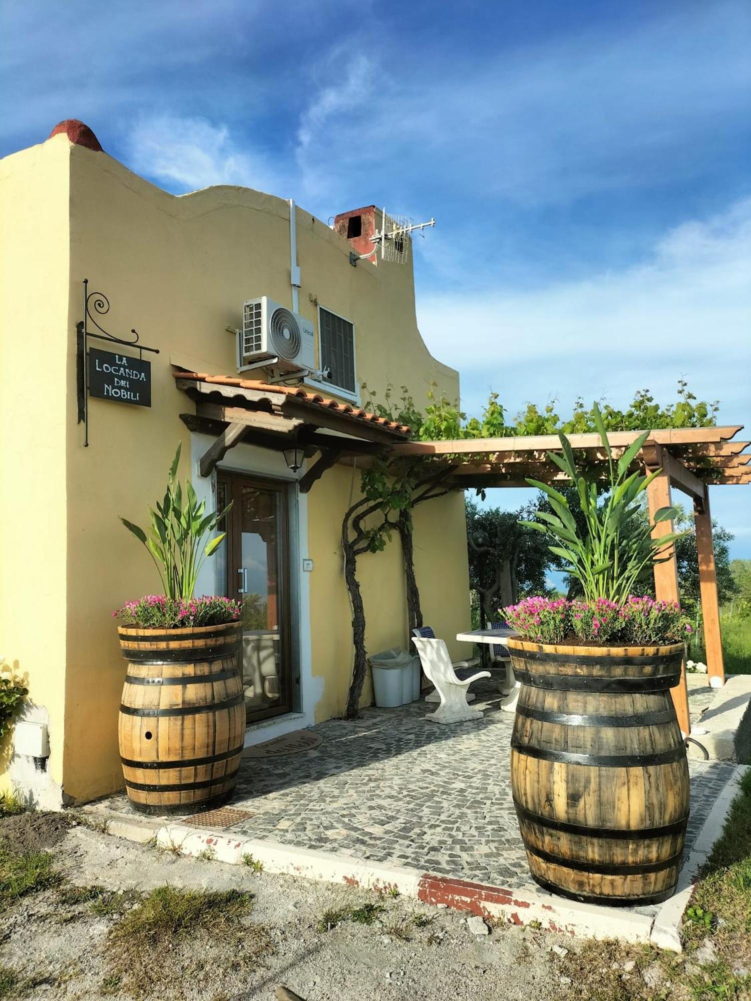 Vesuvio Inn Guest House E Wine Experience Boscotrecase Exteriér fotografie
