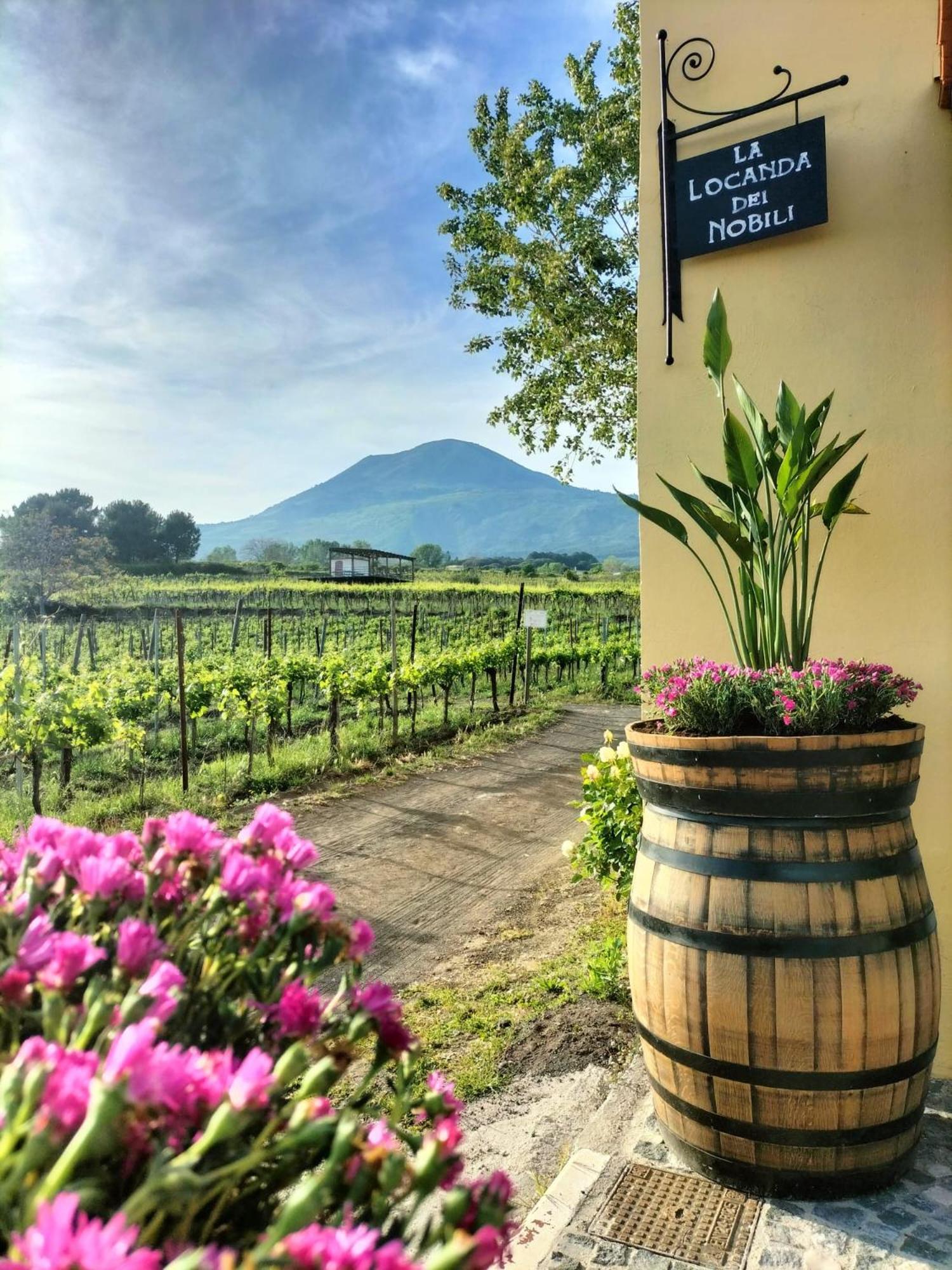 Vesuvio Inn Guest House E Wine Experience Boscotrecase Exteriér fotografie