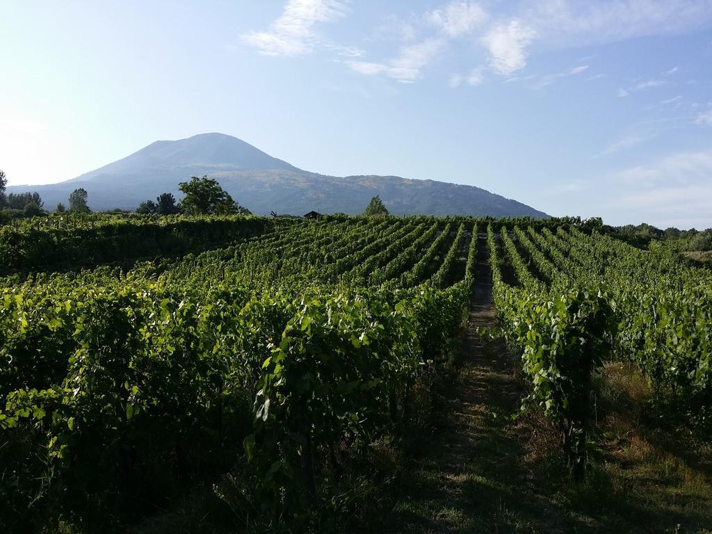 Vesuvio Inn Guest House E Wine Experience Boscotrecase Exteriér fotografie