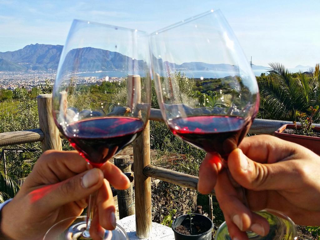 Vesuvio Inn Guest House E Wine Experience Boscotrecase Exteriér fotografie